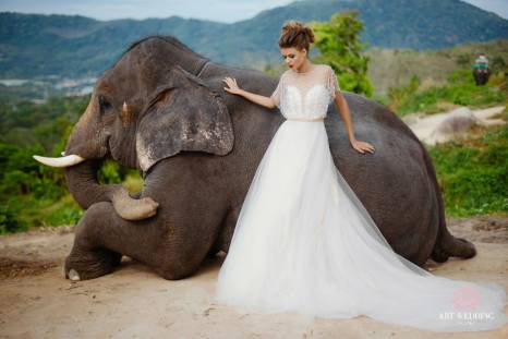 картинка: чудесная свадьба в Королевстве Таиланд